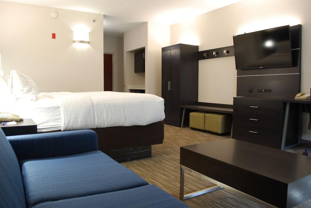 Holiday Inn Express Hotel & Suites Kingsport-Meadowview I-26 By Ihg Eksteriør billede